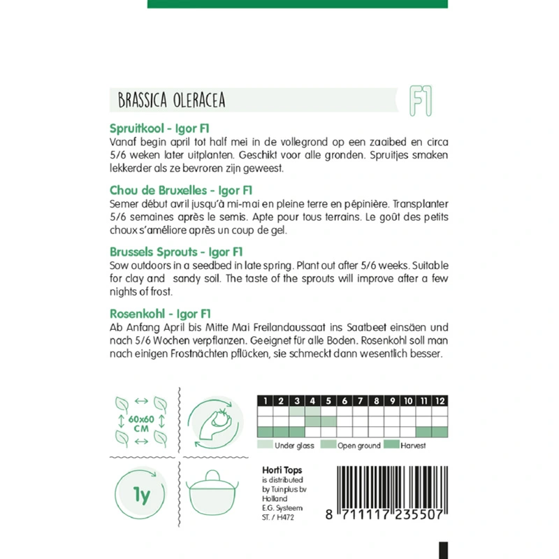 Horti Tops Spruitkool Topline F1 Hybride - afbeelding 2