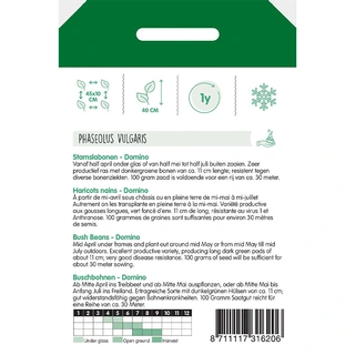 Stamslabonen Paloma, 100g - afbeelding 2