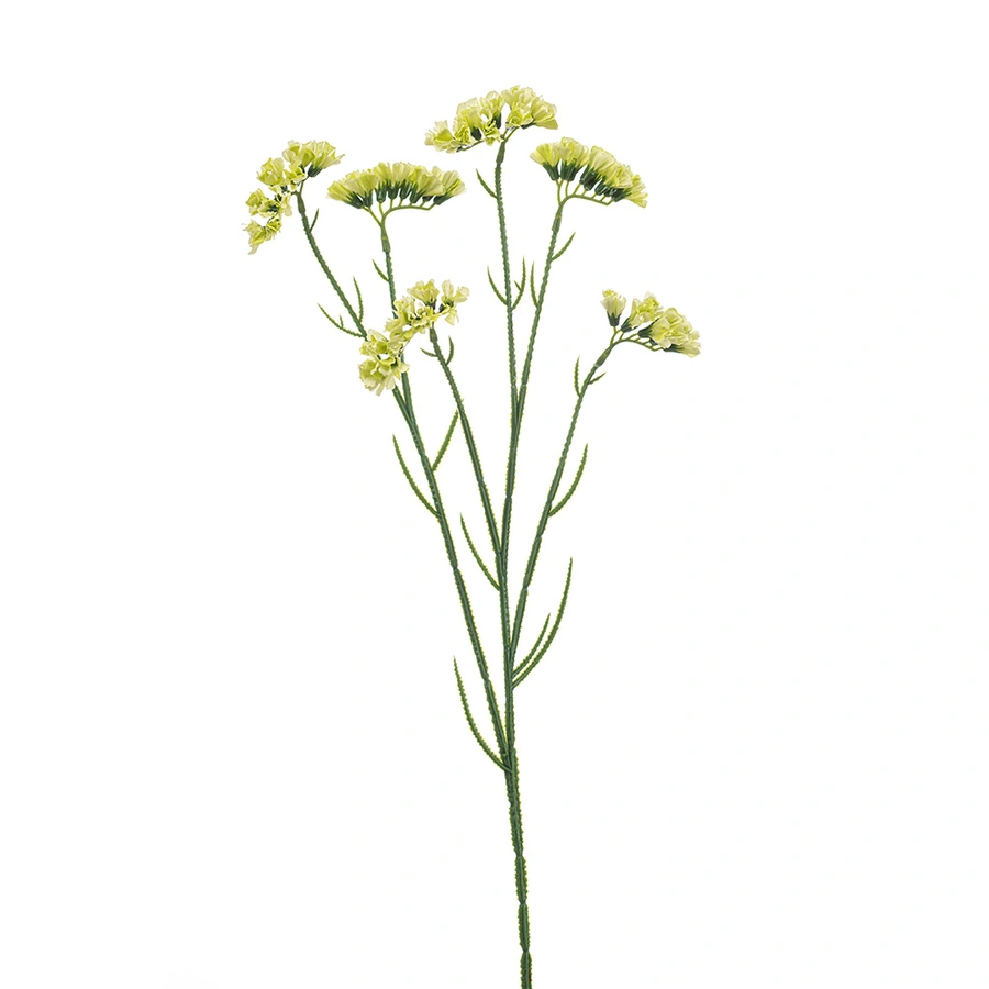 Kunstbloem Statice Groen - 67 cm