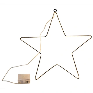 LED Ster Zwart - 40 cm | Tuincentrum De Boet