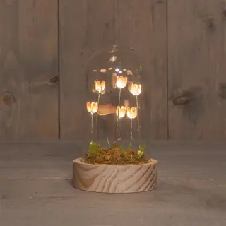 Tulpen in Stolp LED 8,5x14 cm - Roze | Tuincentrum De Boet