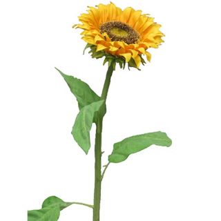 Kunst Sunflower Tuscany M - 77cm