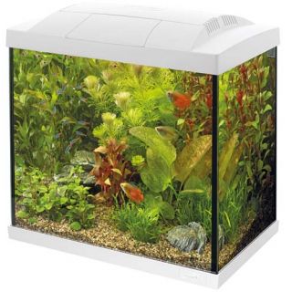 Superfish Start Tropical Kit 30 LED - Wit - afbeelding 1