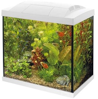 Superfish Start Tropical Kit 30 LED - Wit - afbeelding 1