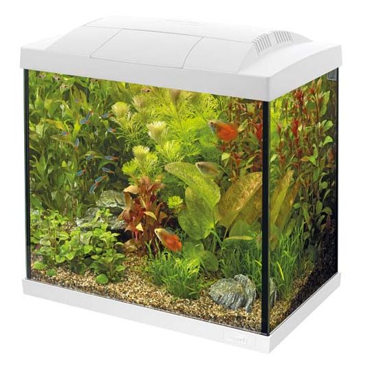 Superfish Start Tropical Kit 50  LED- Wit - afbeelding 1