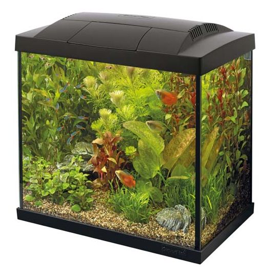 Superfish Start Tropical Kit 50 LED - Zwart - afbeelding 1
