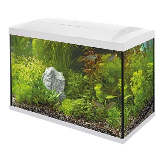 Superfish Start Tropical Kit 70 LED - Wit - afbeelding 1