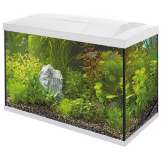 Superfish Start Tropical Kit 70 LED - Wit - afbeelding 2