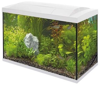 Superfish Start Tropical Kit 70 LED - Wit - afbeelding 1