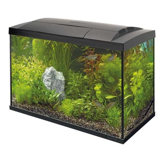 Superfish Start Tropical kit 70 LED - Zwart - afbeelding 1