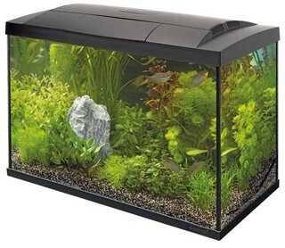 Superfish Start Tropical kit 70 LED - Zwart - afbeelding 1