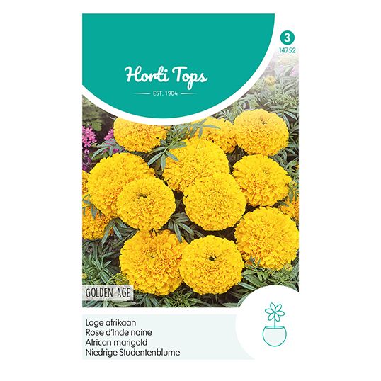 Horti Tops Tagetes, lage Afrikaan Golden Age - afbeelding 1