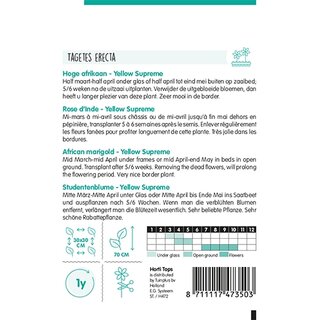 Horti Tops Tagetes, hoge Afrikaan Yellow Supreme - afbeelding 2