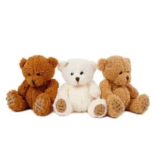 Take Me Home Beertje Pluche - 18 cm