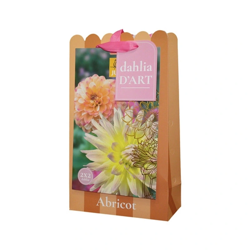 JUB Holland Dahlia Tas D'Art Dahlia Abricot - 4 st.