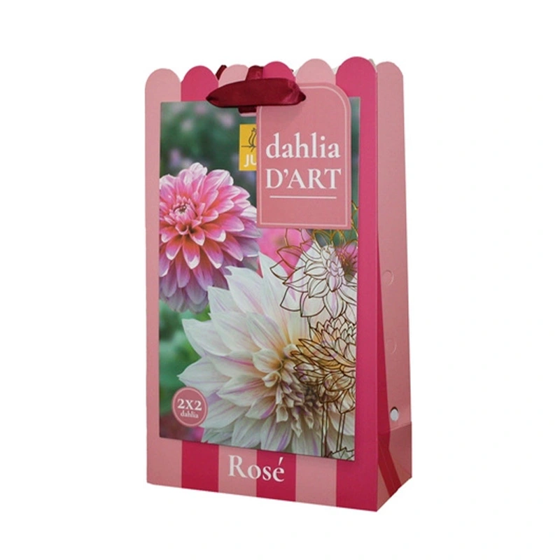 JUB Holland Dahlia Tas D'Art Dahlia Rose - 4 st.