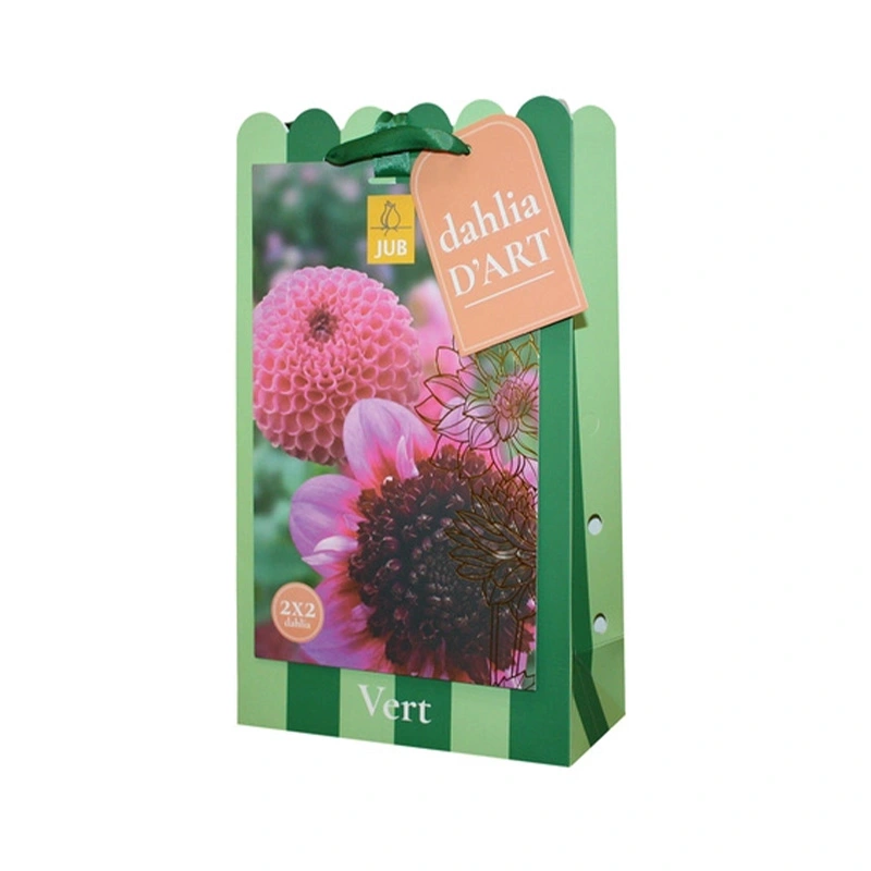 JUB Holland Dahlia Tas D'Art Dahlia Vert - 4 st.
