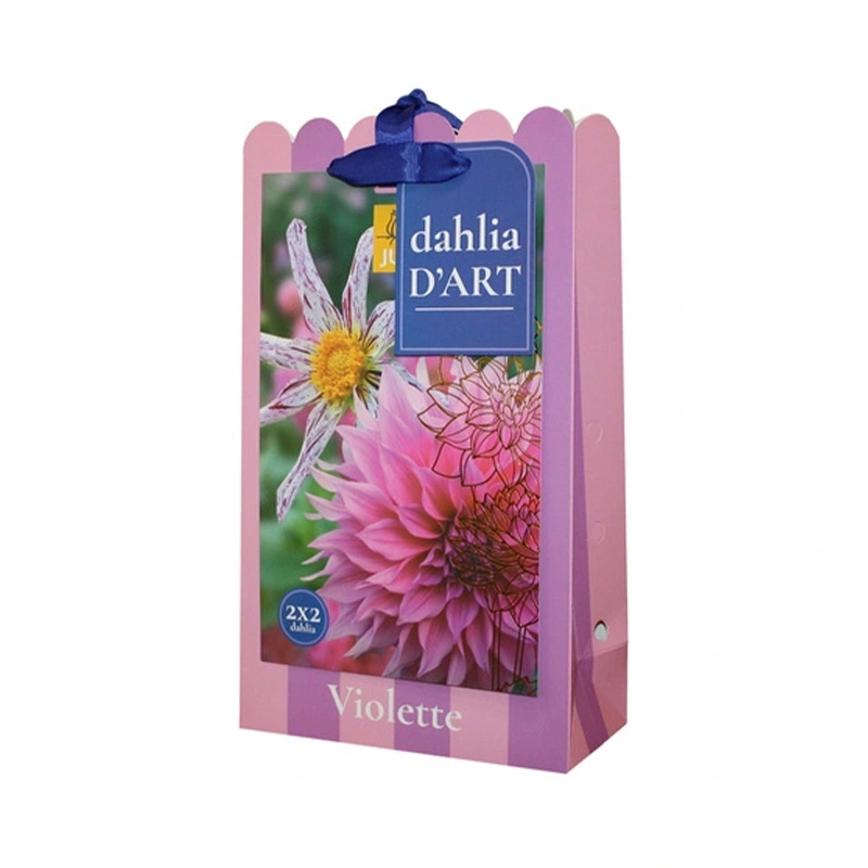JUB Holland Dahlia Tas D'Art Dahlia Violette - 4 st.