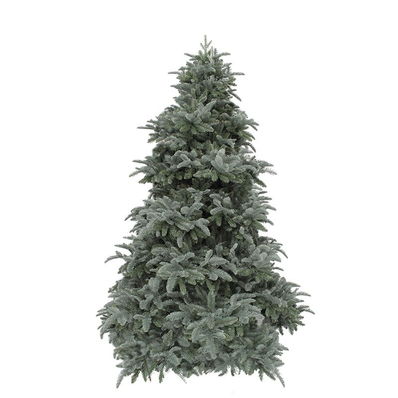 Triumph Tree Abies Nordmann deluxe Forest Blue - 185 cm