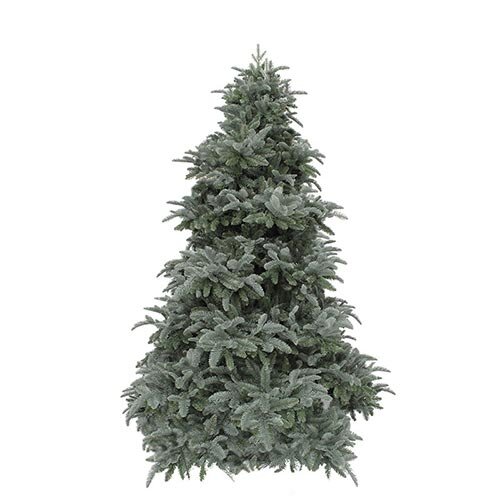 Triumph Tree Abies Nordmann deluxe Forest Blue - 215 cm