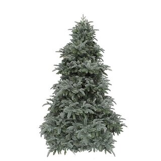 Triumph Tree Abies Nordmann deluxe Forest Blue - 215 cm