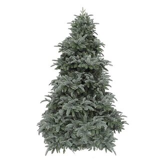 Triumph Tree Abies Nordmann deluxe Forest Blue - 230 cm