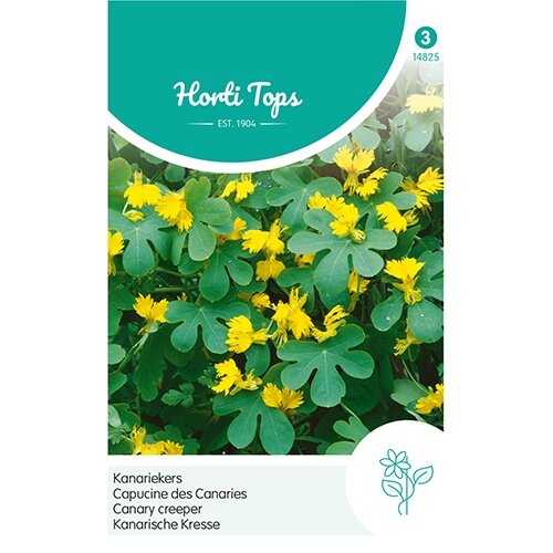 Horti Tops Tropaeolum, Kanariekers geel - afbeelding 1