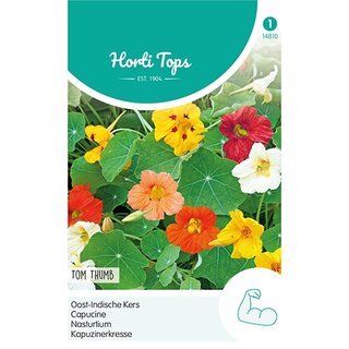 Horti Tops Tropaeolum, Oost-Indische Kers Tom Thumb - afbeelding 1