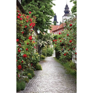 Tuindoek Alley Roses- 140x90 cm