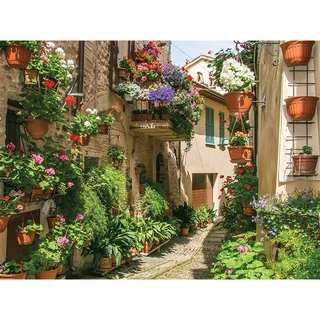 Tuinschilderij Bloemen straat - 70x50 cm | De Boet