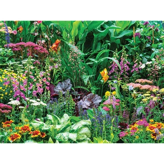 Tuinschilderij Bloemenmix - 70x50 cm | De Boet