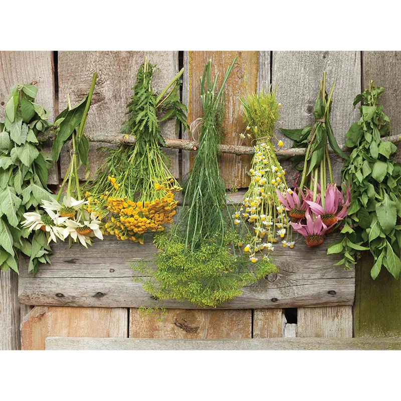 Tuinschilderij Bosjes kruiden - 70x50 cm