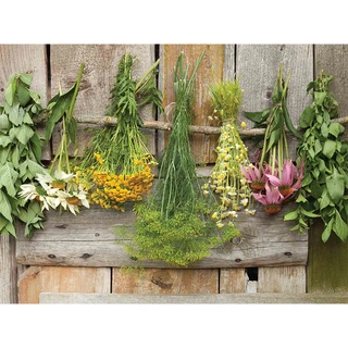 Tuinschilderij Bosjes kruiden - 70x50 cm | De Boet