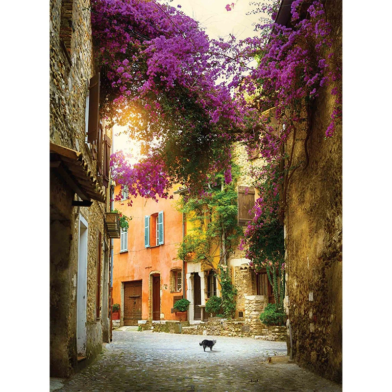 Tuinschilderij Bougainville poes - 70x50 cm