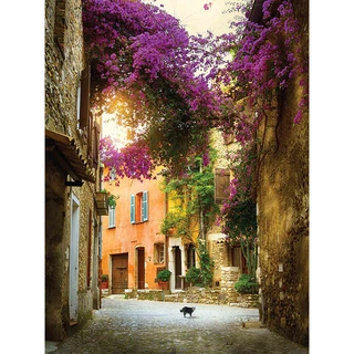 Tuinschilderij Bougainville poes - 70x50 cm