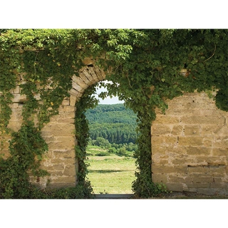 Tuinschilderij Doorkijk boog - 70x50 cm | De Boet