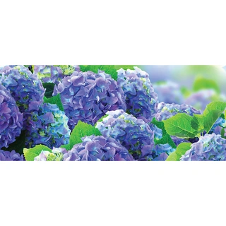 Tuinschilderij Hortensia blauw - 130x50 cm | De Boet