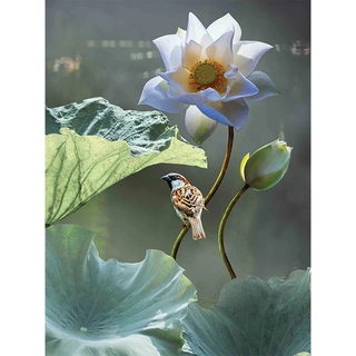 Tuinschilderij Lotus mus - 70x50 cm