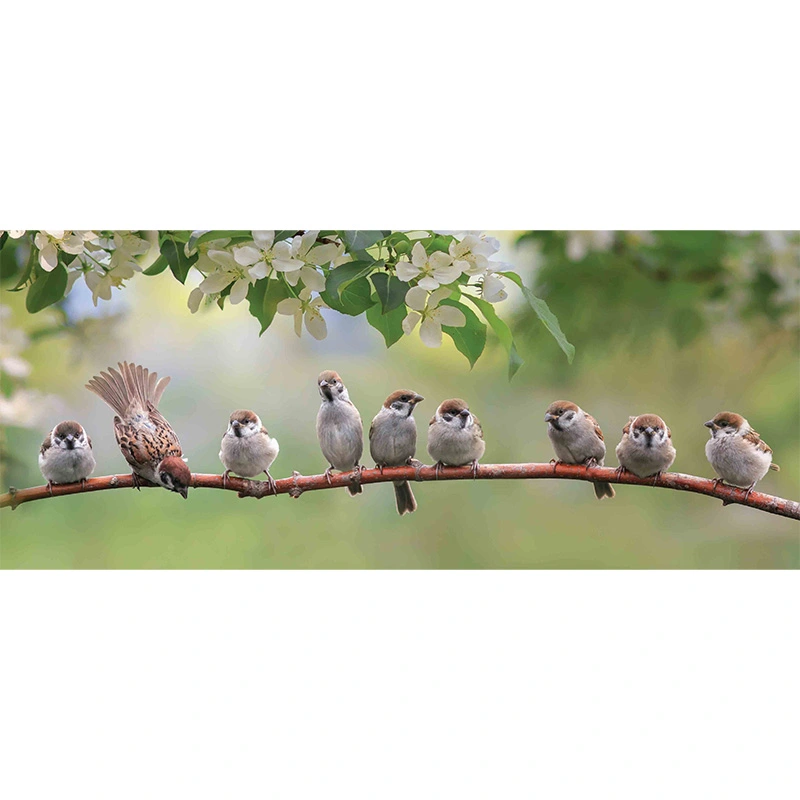 Tuinschilderij Mussen - 130x50 cm