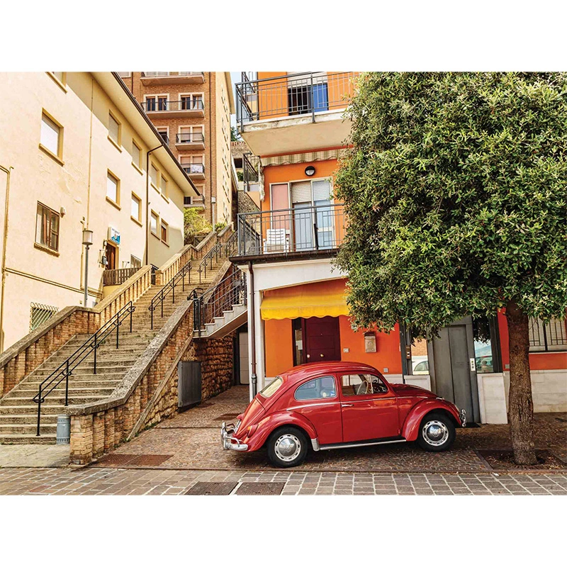 Tuinschilderij Rode Kever - 70x50 cm