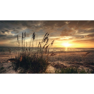 Tuinschilderij Strand avond - 130x70 cm | De Boet