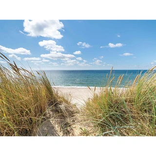 Tuinschilderij Strand duinen - 70x50 cm | De Boet