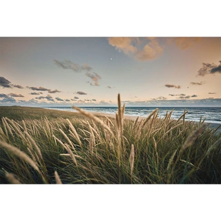 Tuinschilderij Strand skyline - 130x70 cm | De Boet