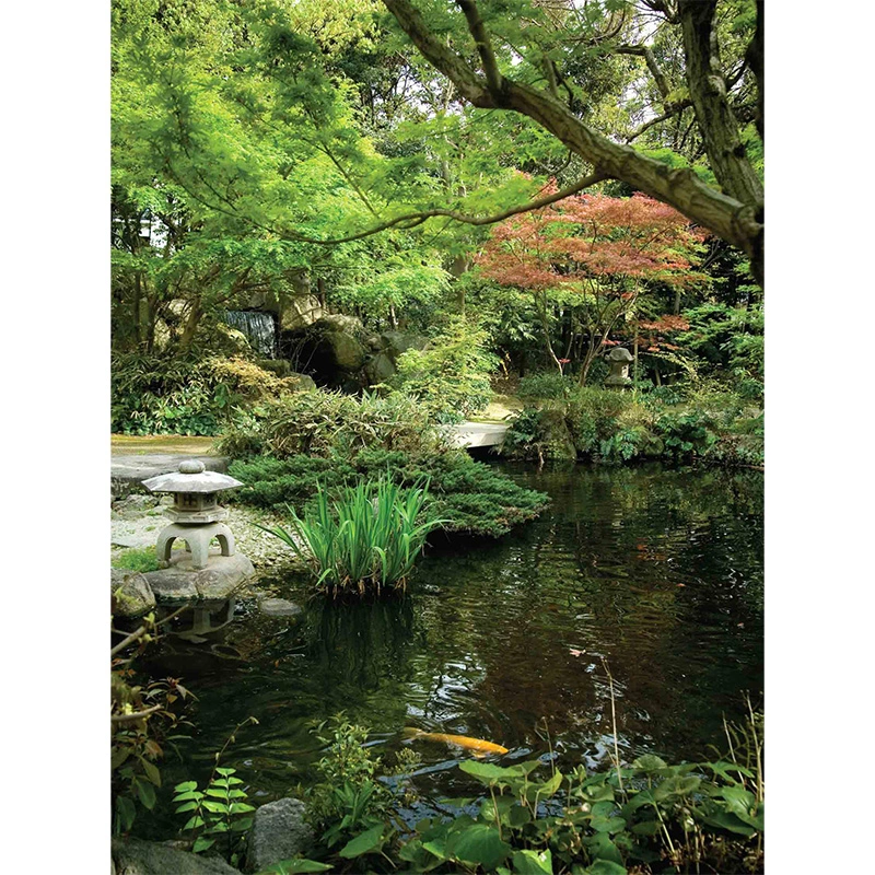 Tuinschilderij Vijver - 70x50 cm