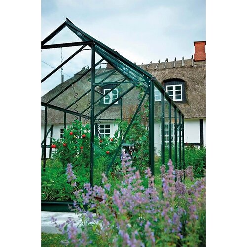 HALLS Tuinkas Popular 106 - Tuindersglas Groen - afbeelding 3