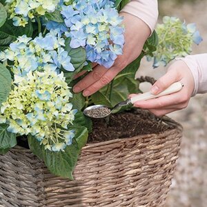 Tuinplant voeding & verzorging