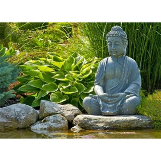 Tuinposter Buddha met hosta 163x117 cm