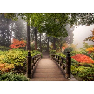 Tuinposter Japanse brug 163x117 cm