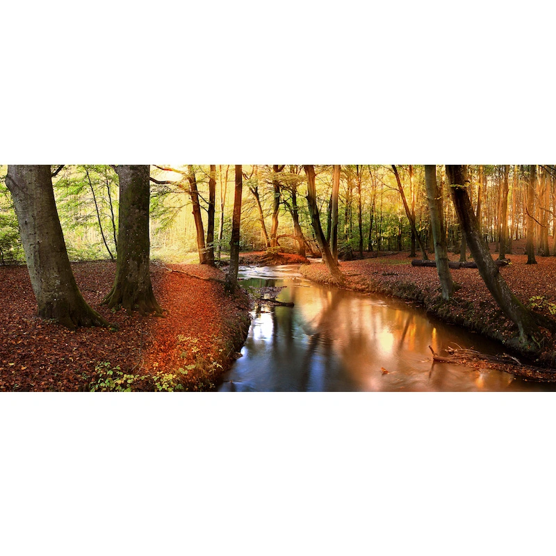 Tuinposter Lentebos 110x45 cm