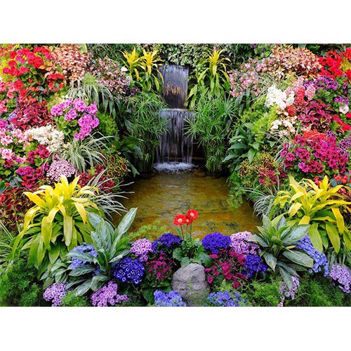Tuinposter Watervalletje met bloem 80x60 cm